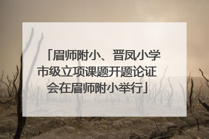 眉师附小、晋凤小学市级立项课题开题论证会在眉师附小举行