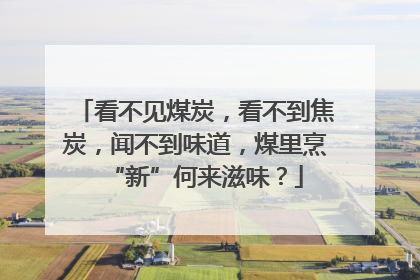 看不见煤炭，看不到焦炭，闻不到味道，煤里烹“新”何来滋味？