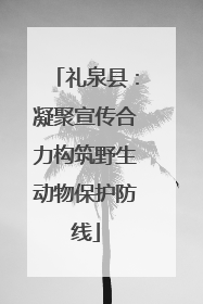 礼泉县：凝聚宣传合力构筑野生动物保护防线