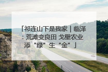 祁连山下是我家｜临泽：荒滩变良田 戈壁农业添“绿”生“金”