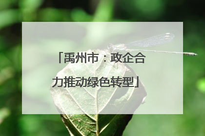 禹州市：政企合力推动绿色转型