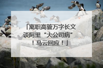 离职高管万字长文谈阿里“大公司病”！马云回应！