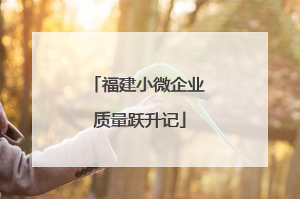 福建小微企业质量跃升记