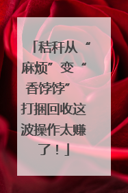 秸秆从“麻烦”变“香饽饽” 打捆回收这波操作太赚了！