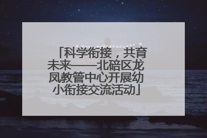 科学衔接，共育未来——北碚区龙凤教管中心开展幼小衔接交流活动