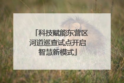 科技赋能东营区河道巡查试点开启智慧新模式
