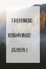 科技赋能夏粮收购提质增效