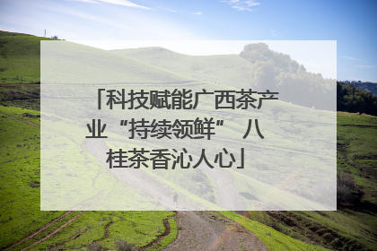 科技赋能广西茶产业“持续领鲜” 八桂茶香沁人心