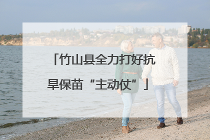 竹山县全力打好抗旱保苗“主动仗”