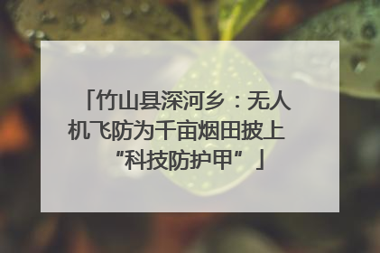 竹山县深河乡：无人机飞防为千亩烟田披上“科技防护甲”