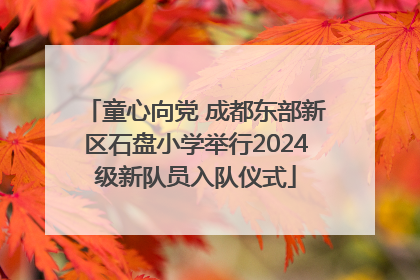 童心向党 成都东部新区石盘小学举行2024级新队员入队仪式