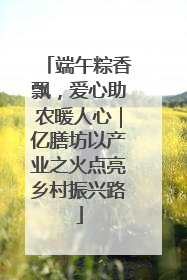 端午粽香飘，爱心助农暖人心｜亿膳坊以产业之火点亮乡村振兴路