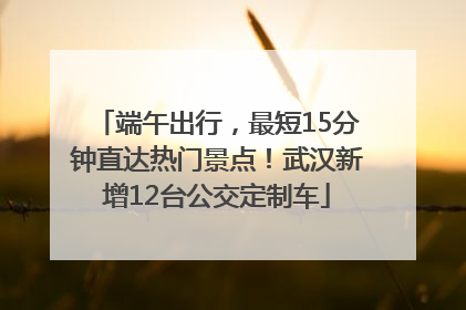 端午出行，最短15分钟直达热门景点！武汉新增12台公交定制车