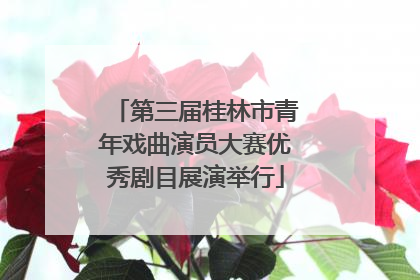 第三届桂林市青年戏曲演员大赛优秀剧目展演举行