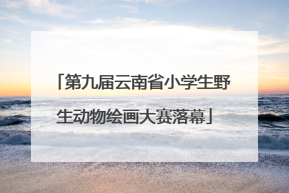 第九届云南省小学生野生动物绘画大赛落幕