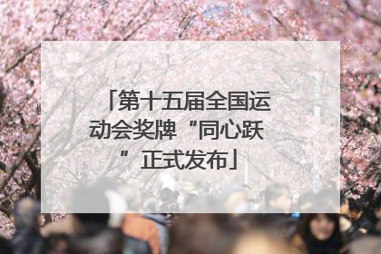 第十五届全国运动会奖牌“同心跃”正式发布
