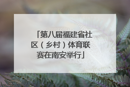 第八届福建省社区（乡村）体育联赛在南安举行