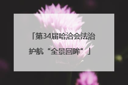 第34届哈洽会法治护航“全景回眸”
