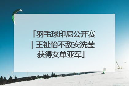 羽毛球印尼公开赛｜王祉怡不敌安洗莹 获得女单亚军