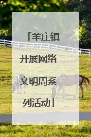 羊庄镇开展网络文明周系列活动