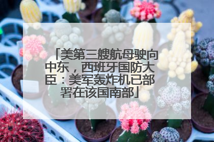 美第三艘航母驶向中东，西班牙国防大臣：美军轰炸机已部署在该国南部