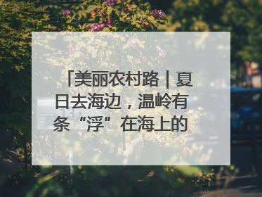 美丽农村路｜夏日去海边，温岭有条“浮”在海上的公路你去过吗？