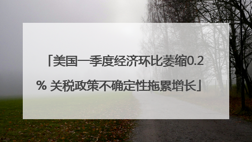 美国一季度经济环比萎缩0.2% 关税政策不确定性拖累增长