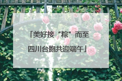 美好接“粽”而至 四川台胞共迎端午
