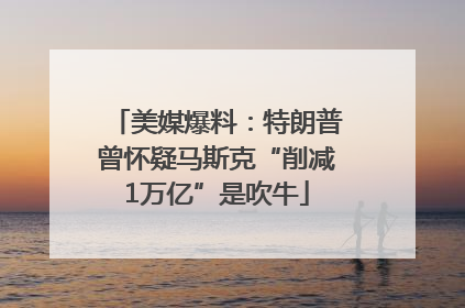美媒爆料：特朗普曾怀疑马斯克“削减1万亿”是吹牛