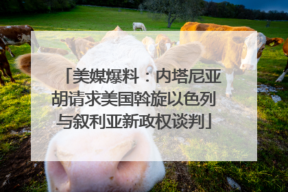 美媒爆料：内塔尼亚胡请求美国斡旋以色列与叙利亚新政权谈判
