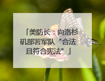 美防长：向洛杉矶部署军队“合法且符合宪法”
