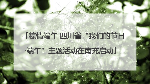 粽情端午 四川省“我们的节日·端午”主题活动在南充启动