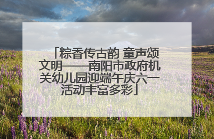 粽香传古韵 童声颂文明——南阳市政府机关幼儿园迎端午庆六一活动丰富多彩