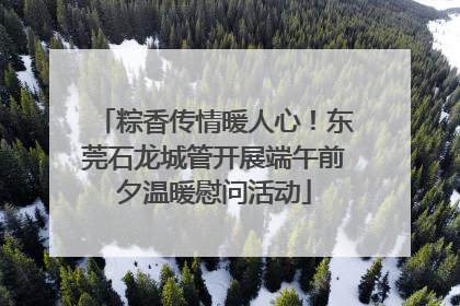 粽香传情暖人心！东莞石龙城管开展端午前夕温暖慰问活动