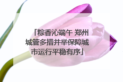 粽香沁端午 郑州城管多措并举保障城市运行平稳有序