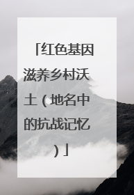红色基因滋养乡村沃土（地名中的抗战记忆）