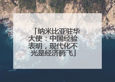 纳米比亚驻华大使：中国经验表明，现代化不光是经济腾飞