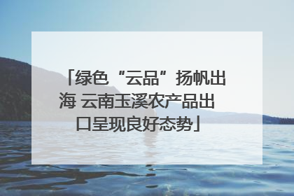 绿色“云品”扬帆出海 云南玉溪农产品出口呈现良好态势