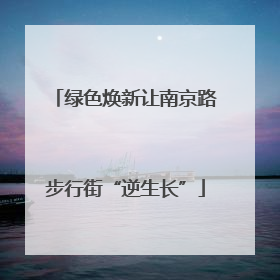 绿色焕新让南京路步行街“逆生长”