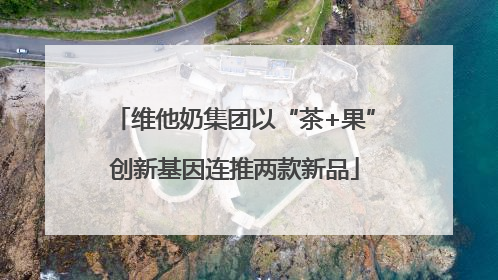 维他奶集团以“茶+果”创新基因连推两款新品