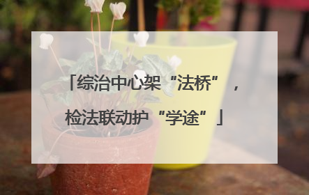 综治中心架“法桥”，检法联动护“学途”