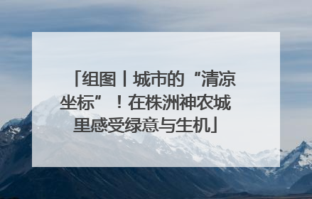 组图丨城市的“清凉坐标”！在株洲神农城里感受绿意与生机