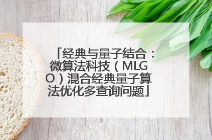 经典与量子结合：微算法科技（MLGO）混合经典量子算法优化多查询问题