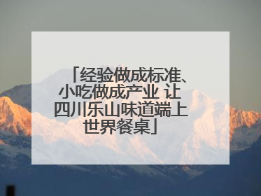 经验做成标准、小吃做成产业 让四川乐山味道端上世界餐桌