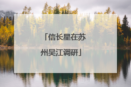 信长星在苏州吴江调研