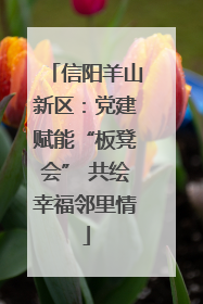 信阳羊山新区：党建赋能“板凳会” 共绘幸福邻里情