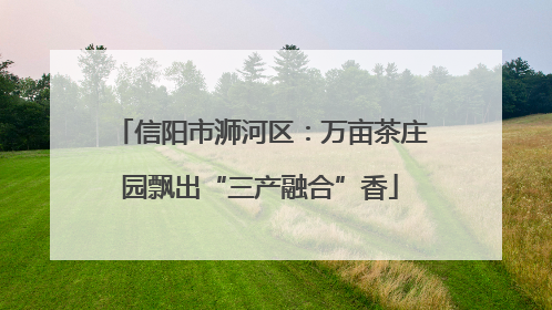 信阳市浉河区：万亩茶庄园飘出“三产融合”香