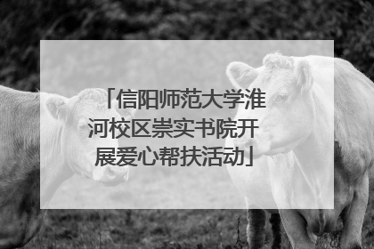信阳师范大学淮河校区崇实书院开展爱心帮扶活动