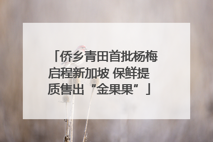 侨乡青田首批杨梅启程新加坡 保鲜提质售出“金果果”