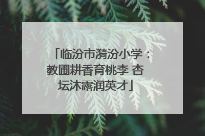 临汾市漪汾小学：教圃耕香育桃李 杏坛沐露润英才